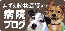みずえ動物病院のブログはこちらから