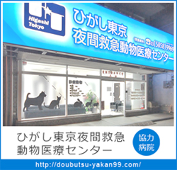 東夜間救急医療センターへ