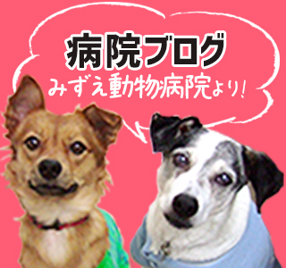病院ブログへ