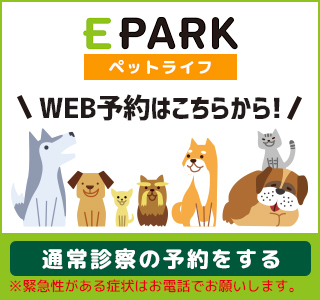 Epark(みずえ動物病院）へ