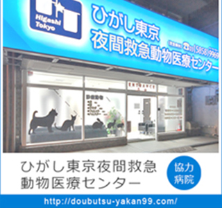 東夜間救急医療センターへ