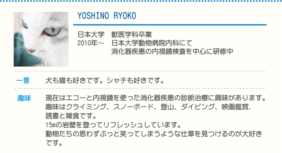 YOSHINO RYOKO